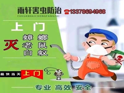 同城上门灭鼠除四害除鼠灭蟑螂白蚁防治清理死老鼠灭臭虫灭跳蚤