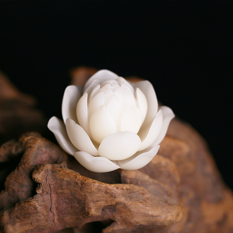 白菩提根风华六瓣莲花