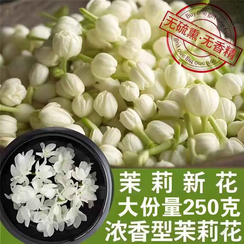 茉莉花茶浓香型可食用花苞茶干花朵孕妇茶茉莉花干2025新广西横县