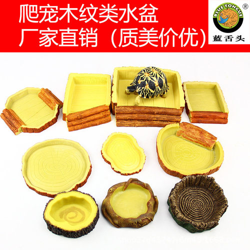 爬虫饲养箱造景迷你树人水盆