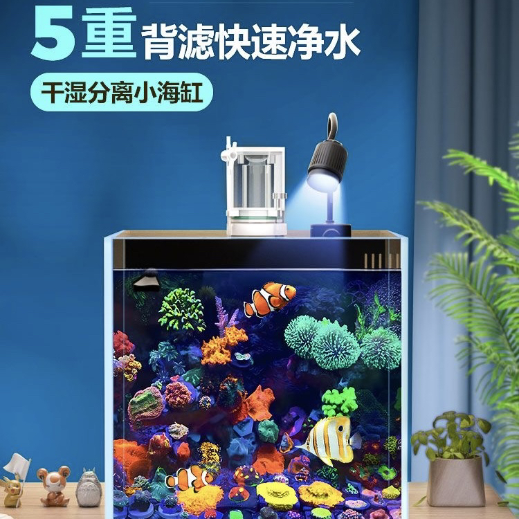 背滤海水缸全套设备小型客厅桌面珊瑚造景方缸超白玻璃小丑鱼海缸