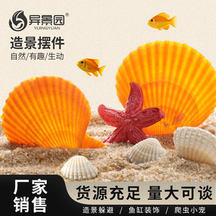 跨境天然海螺扇贝壳鱼缸水族箱造景装饰大小摆件鱼虾躲避屋繁殖窝