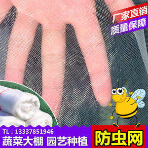 防虫网蔬菜大棚专用加厚青蛙围网尼龙网果树网罩蝗虫养殖防逃网