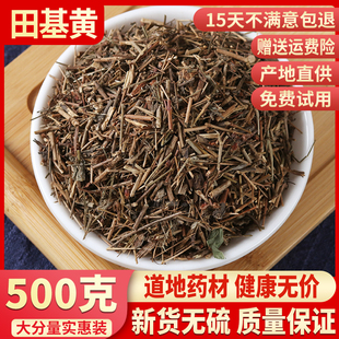 野生田基黄 中药材田基黄 地耳草 黄花草 田基王中草药 500克包邮
