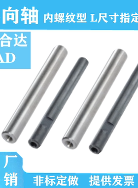 导向轴RAD21/31/22/32/23/33/26/36/28/38怡合达内螺纹非标定做