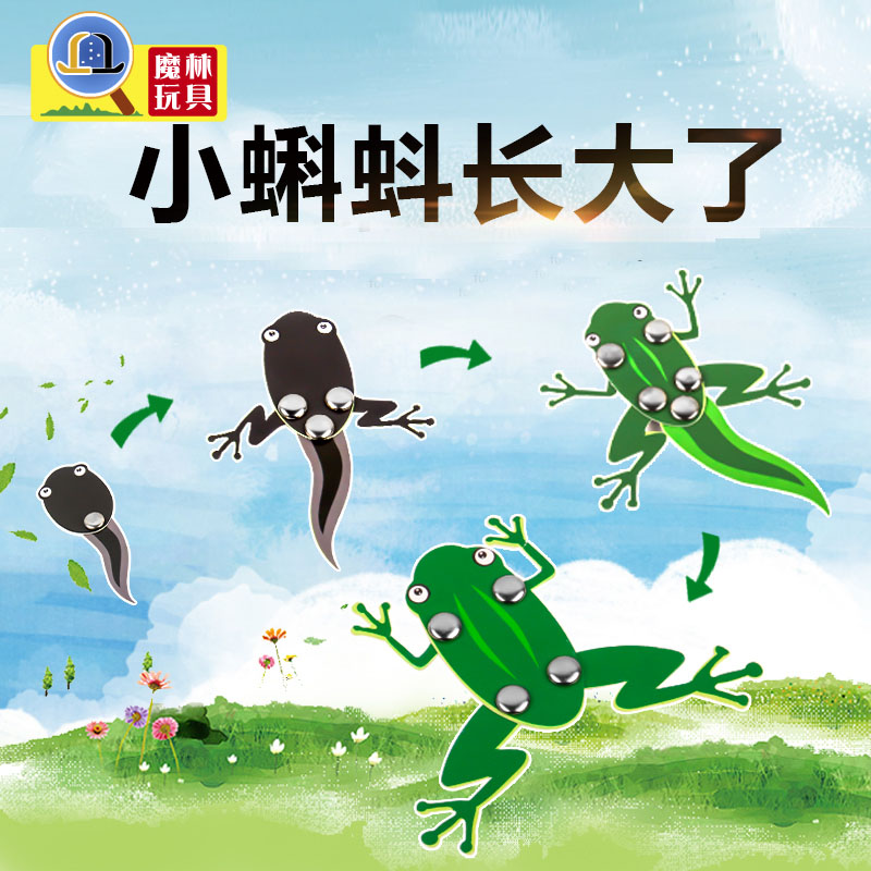 科技制作物理实验小蝌蚪长大了