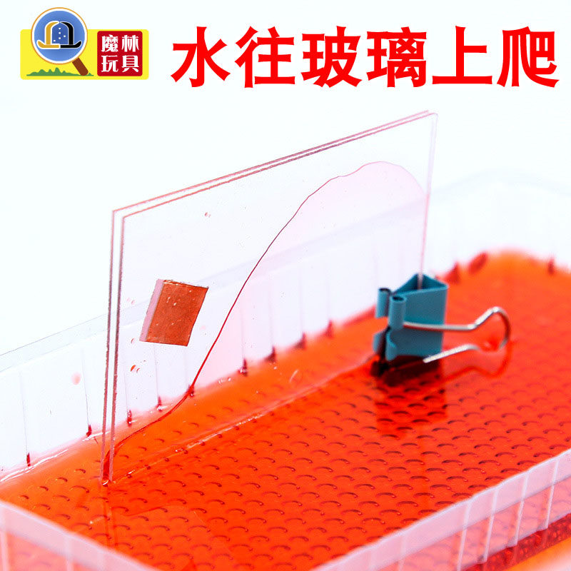 毛细现象幼儿园教具科技小制作