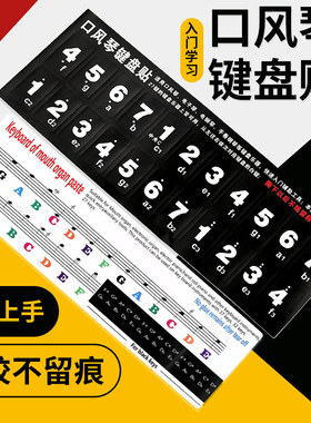 口风琴键盘贴27键32键37键适用天鹅奇美铃木学生简谱辅助贴纸配件