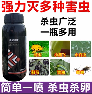 亮威快速杀虫小白虫多种害虫室外使用喷雾驱虫去卵室外杀虫剂