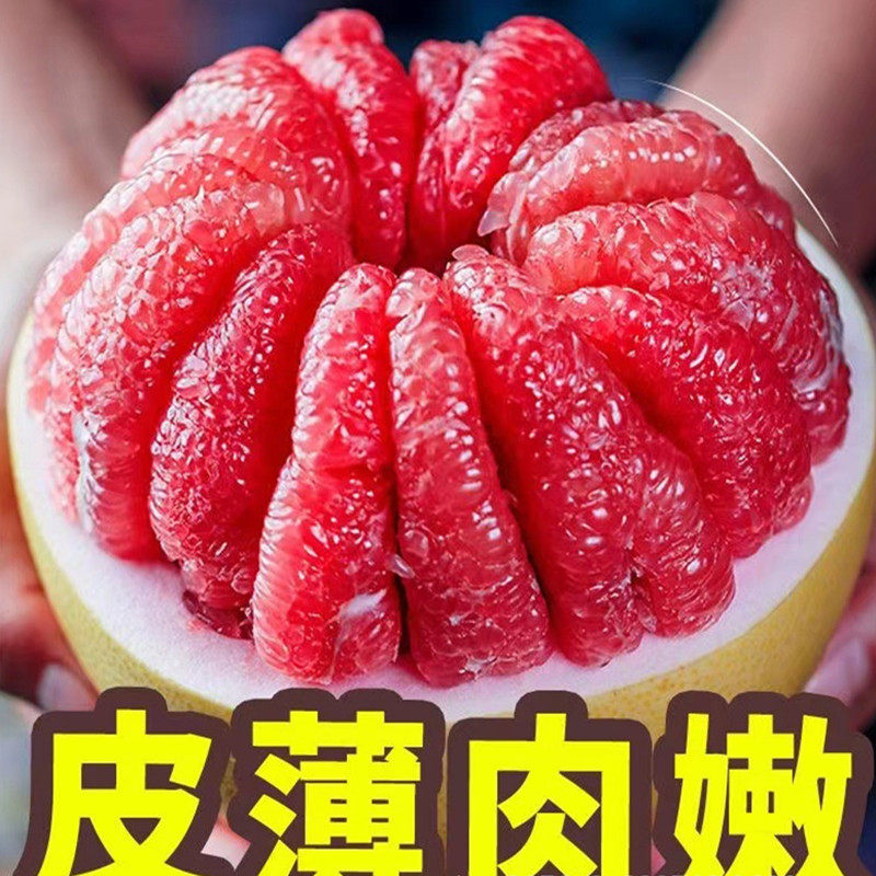 福建平和红心柚子新鲜当季应季蜜柚子