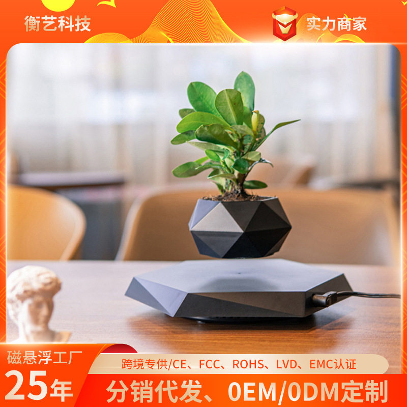 热销爆款悬浮大理石盆栽磁悬浮盆栽创意花盆盆景植物摆件家居摆件