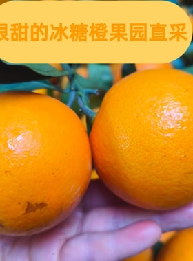 正宗湖南永州特产甜冰糖橙应季水果果园采摘保证不泡保鲜剂不打蜡