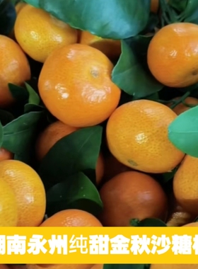 正宗湖南新鲜南丰蜜橘金秋沙糖橘保证不泡药水不打蜡树上熟