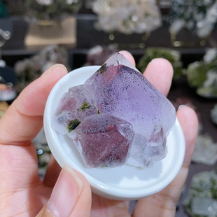 直播专用链接 不含偏远 满100 包邮