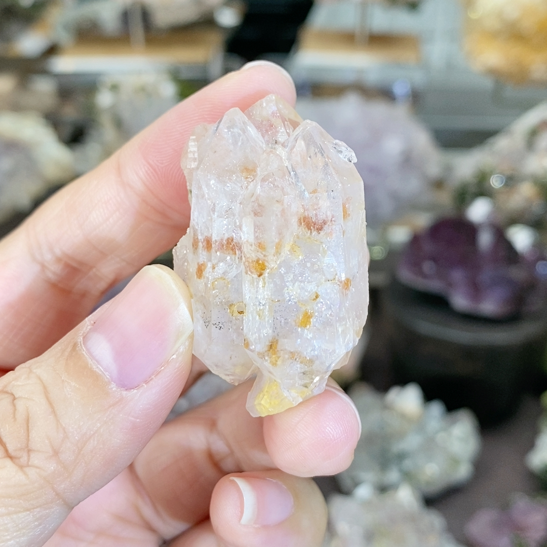 直播专用链接满100包邮不含偏远