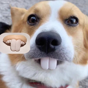 狗狗假牙玩具搞笑恶搞狗子兔子大门牙假牙套装整蛊装饰假牙玩具