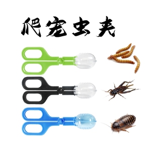 援助之手抓握精细动作训练早教夹子玩具儿童户外昆虫捕捉器镊子