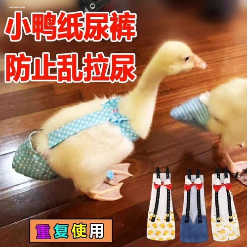 柯尔鸭尿不湿宠物屎屁粪兜小鸭子玄凤鹦鹉小鸡鹅衣服纸尿裤尿布垫