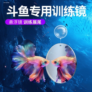 泰国斗鱼训练镜子专用悬浮球缸外镜罗汉鱼雷龙鱼造景小型鱼缸摆件
