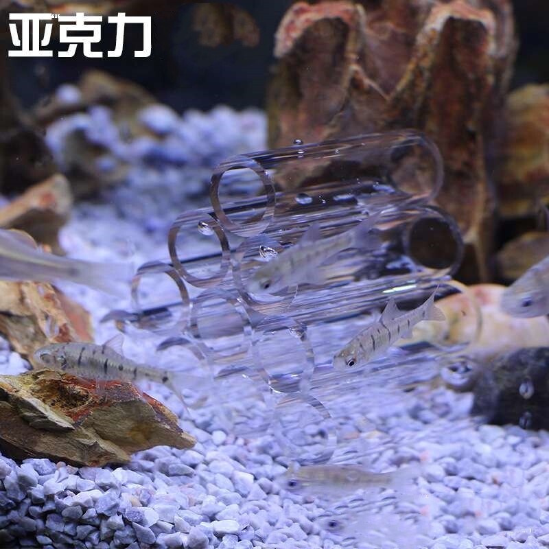 透明虾窝水晶虾屋亚克力躲避罐繁殖筒虾管樱花虾屋鱼缸造景虾