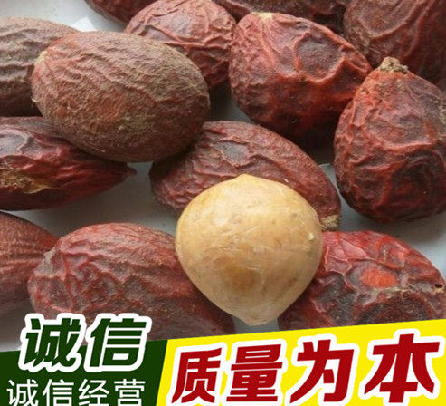 中药材铁树果 铁树籽 凤凰蛋 苏铁果 铁树子500克包邮 有铁树花