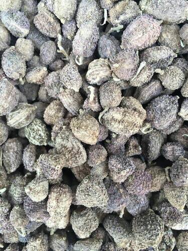 中药材 砂仁 阳春砂仁 长泰砂仁 小豆蔻一斤包邮