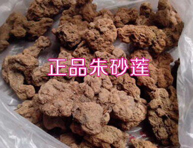 中药材 朱砂莲 朱砂连 牛血莲 躲蛇生 精选500克 正品保含量