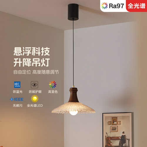 可调节可升降单头简约吊顶