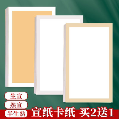 加厚宣纸国画卡纸长方形镜片纸毛笔书法专用纸国画纸空白软卡画画装裱扇面纸全白全麻手工生宣纸作品纸