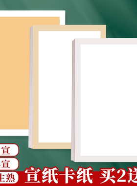 加厚宣纸国画卡纸长方形镜片纸毛笔书法专用纸国画纸空白软卡画画装裱扇面纸全白全麻手工生宣纸作品纸