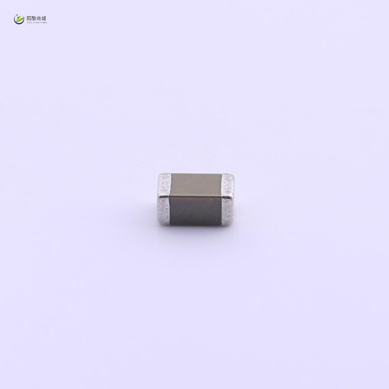全新原装FS31B107M6R3EPG正品/100uF ±20% 6.3V