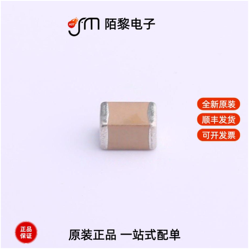 FS43X475K101EGG|FS43X475K500EGG|FS43X685K500EGG全新原装