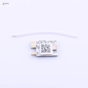 两件套 CBLC5全新CBLC5 代烧录 正品 原装