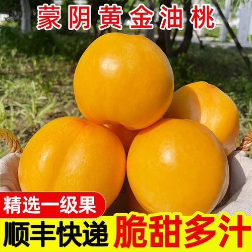 黄油桃新鲜水果整箱当季山东蒙阴黄桃黄金油桃桃子新鲜黄心黄肉