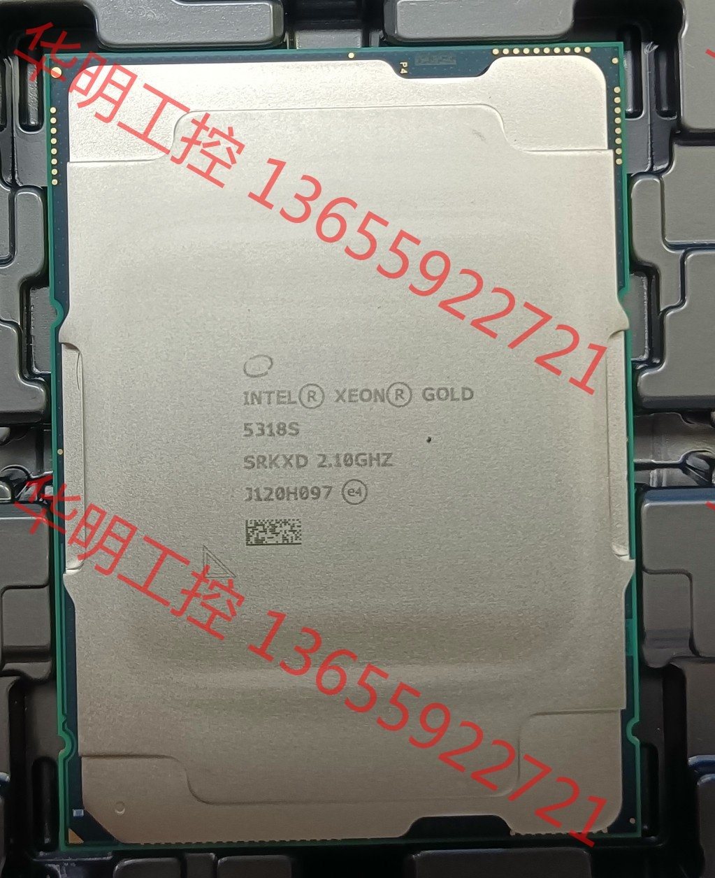 议价 金牌5318S 正式版2.1G 主频24核 48线程