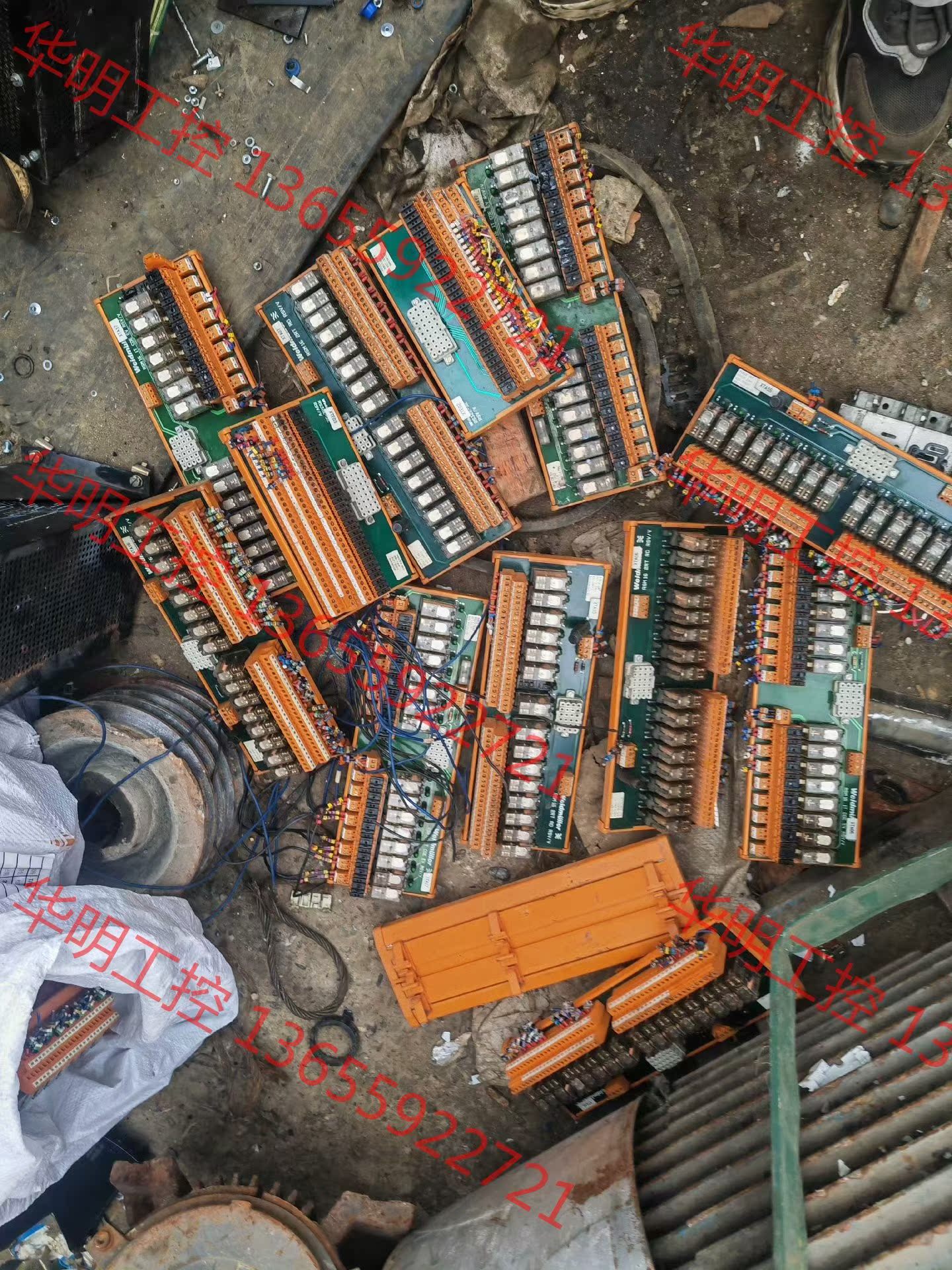 议价 魏德米勒继电器  RSM16 2RT RD