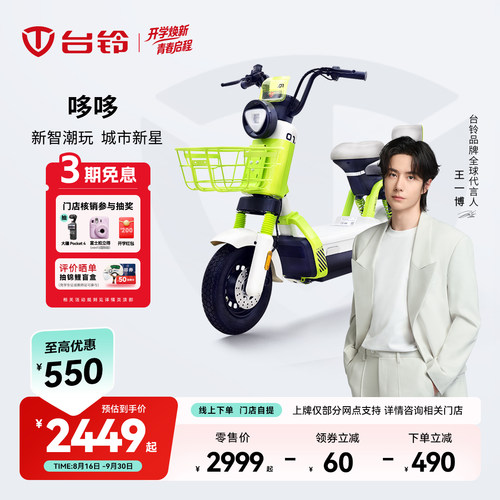 台铃电动车哆哆电动车新国标电动自行车智能电动车