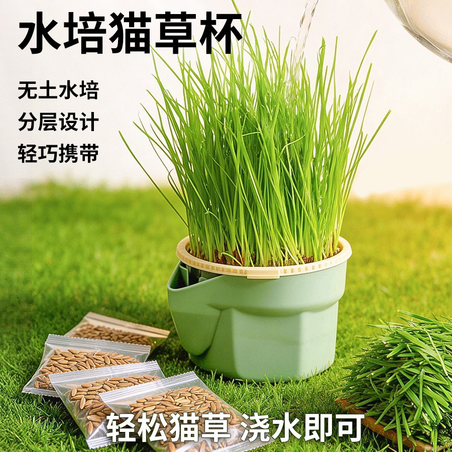 森森猫粮猫草套餐水培种植专用盒桌面盆栽小麦猫草杯排毛猫咪零食
