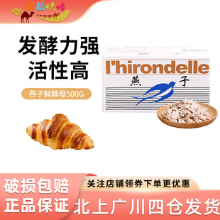 法国乐斯福燕子牌鲜酵母500g 家用烘焙高活性发酵粉稳定 掌柜推荐