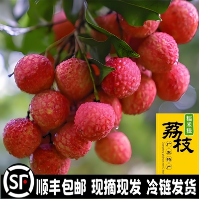 小核肉甜新鲜荔枝糯米糍孕妇