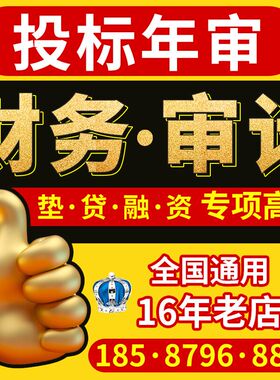 公司审计年度财务任清算咨询报表咨询投标报告专项验资年审离任