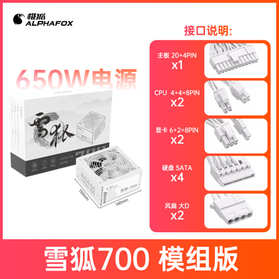 全模组电源650W纯白色带线