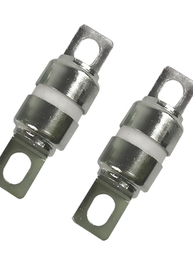 泰矽TAISEE电力调整器保险 RGS11 250V 50A 调整器保险管 正品