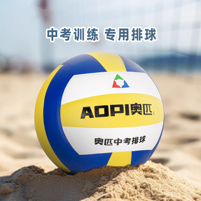 中考排球5号训练比赛体育硬排球