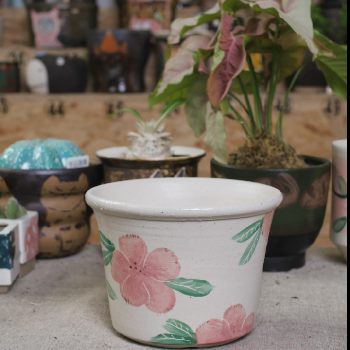 a172口13.9高9.9,鲜花速递/花卉仿真/绿植园艺,花盆,淘宝优惠券,粉丝福利购,淘宝优惠卷