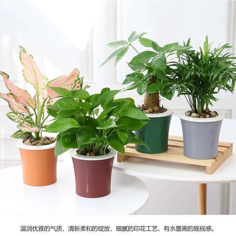 特价 欧林泽小盆栽花盆磨砂印花杯花盆懒人吸水盆简约棉线吸水盆