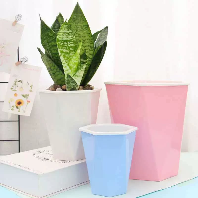 欧林泽实彩U菱形花盆吸水棉绳彩色多肉花卉白掌红掌绿萝塑料懒人