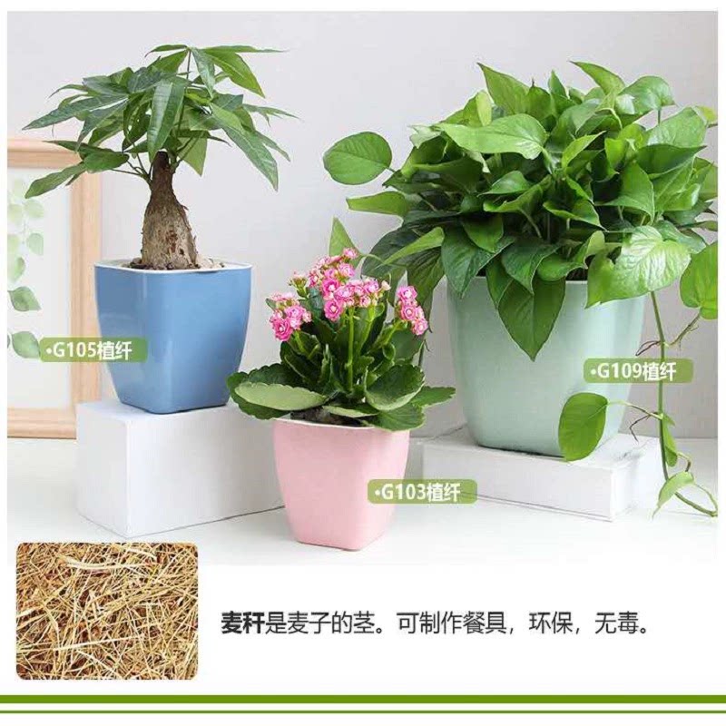 特价 欧林泽懒人吸水盆纤维花盆G方形棉线吸水花盆桌面花卉绿植盆