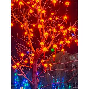 挂树上的小灯笼太阳能新年树灯彩灯满天星led灯带户外缠树灯串灯