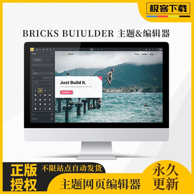 Bricks Builder 主题页面编辑器 Wordpress企业及商城快速建站